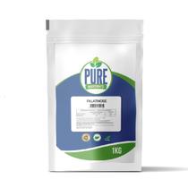 Palatinose Natural 100% Pura 1kg Pure Ingredient's