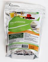 Palatinose Natural 1kg Pré Treino Importada - Nutranatus