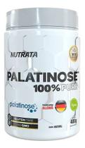 Palatinose Natural (400g) - Nutrata