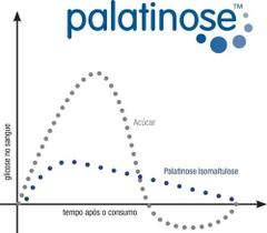 Palatinose Natural (400g) - Padrão: Único - Nutrata