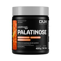 Palatinose - pote 400g