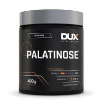 Palatinose - pote 400g - DUX NUTRITION LAB