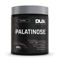 Palatinose - Pote 400g Dux Nutrition