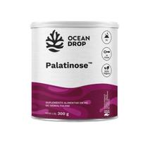 Palatinose Vegano 300g Alto Desempenho Fisico Ocean Drop