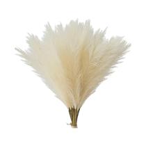 Palha Artificial Laranja 21,65 Polegadas De Altura, Grama Falsa 51020 Peças, Ramos De Pampas Para