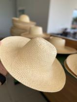 Palha invertida karandá Palha invertida karandá