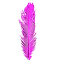 Palmeira Cica Pink Palmeira Cica Pink