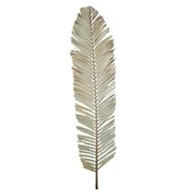 Palmeira Leque Desidratado Palmeira Leque Desidratado