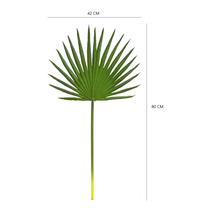 Palmeira leque toque real - alt 80 cm x larg 42 cm - BRILLIANCE