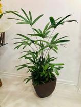 Palmeira Raphia com cachepô em fibra