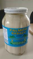 Palmitos de babaçu em conservas inteiro de 1800 gramas