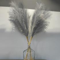 Pampas Grass Decor Wttisel Wttisel 38 10 Stems Faux Pampas Grass Pampas Grass Decor Wttisel Wttisel 38 10 Stems Faux Pampas Grass