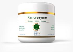 Pancrezyme 60 Caps Suplemento Alimentar 280mg e 500mg Pancrezyme 60 Caps Suplemento Alimentar 280mg e 500mg