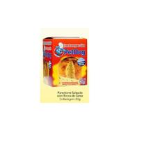 Panettone PetDog Alimentos - Petdog Alimentos Artesanais Panettone PetDog Alimentos - Petdog Alimentos Artesanais