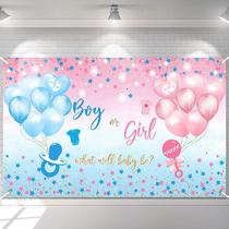 Pano de fundo Avezano Gender Reveal Boy or Girl 180x110cm Poliéster