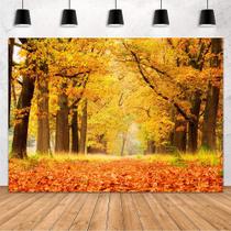 Pano de fundo fotográfico MEHOFOND Autumn Forest Maple Leaves 7x5 pés