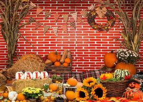 Pano de fundo fotográfico OUYIDA Fall Thanksgiving Red Brick Wall