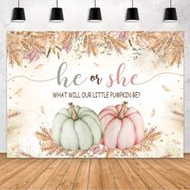 Pano de fundo MEHOFOND Pumpkin Gender Reveal 210x150cm Poliéster Pano de fundo MEHOFOND Pumpkin Gender Reveal 210x150cm Poliéster