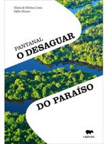 Pantanal - o desaguar do paraíso