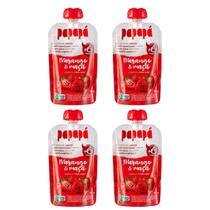 Papapa kit 4un 1 sabor papinha organica 100g Papapa kit 4un 1 sabor papinha organica 100g