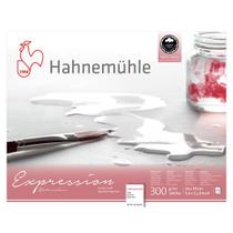 Papel Aquarela Expression 300g 24x30cm 100% Algodão