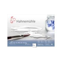 Papel Aquarela Hahnemühle Harmony 300g 17,8 x 25,4 cm Textura Rugosa 10628086