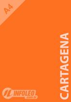 Papel Color Plus A4 180 gramas Cartagena (Laranja) Papel Color Plus A4 180 gramas Cartagena (Laranja)