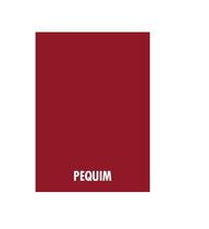 Papel Color Plus A4 Vermelho Pequim 180g - 50 folhas - Evolut