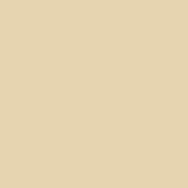 Papel Color Plus - Bege - Sahara (10UN)