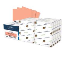 Papel Colorido Hammermill Salmão 24lb 21,6x27,9 cm 5000 Folhas Papel Colorido Hammermill Salmão 24lb 21,6x27,9 cm 5000 Folhas