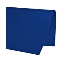 Papel Colorset 48 x 66cm Cor Azul-Marinho Com 10 Unidades - T10OFFICE
