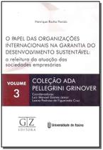 Papel das organizacoes internacionais na garantia do desenvolvimento susten