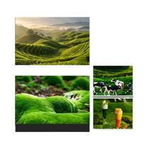 Papel De Fundo Fotográfico Impermeável De Cor Gradiente Dupla Face 57x87CM Acessórios Para Estúdio