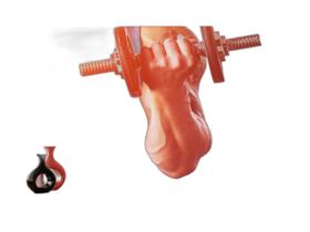 Papel De Parede 3D Academia Exercício Exercício Funcional 3,5M Aca18