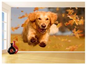 Papel De Parede 3D Animais Cachoro Golden Pet 3,5M Anm364