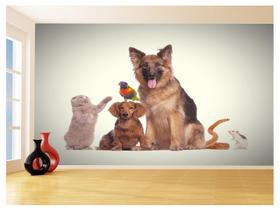 Papel De Parede 3D Animais Cão Gato Petshop 3,5M Anm424