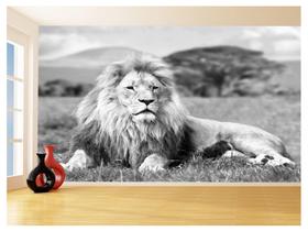 Papel De Parede 3D Animais Leão África Safari 3,5M Anm468 Papel De Parede 3D Animais Leão África Safari 3,5M Anm468