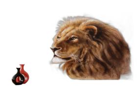 Papel De Parede 3D Animais Leão Rosto Rei Olhar 3,5M Anm441