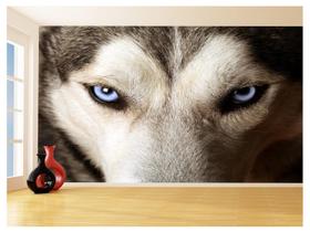 Papel De Parede 3D Animais Lobo Olho Azul Rosto 3,5M Anm577 Papel De Parede 3D Animais Lobo Olho Azul Rosto 3,5M Anm577