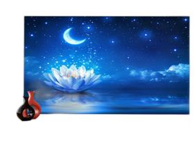 Papel De Parede 3D Relax Spa Flor Lótus Noite 3,5M Rlx095