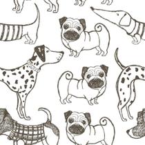 Papel De Parede Adesivo Autocolante Lavável Desenho De Pets Pug Dogs