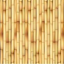 Papel De Parede Adesivo Bamboo 195719759 0,58X3,00M