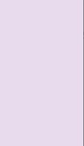 Papel de Parede Adesivo Casual lilas CAS 108