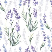 Papel de Parede Adesivo Lavanda Lilás Floral Minimalista Moderno Quarto Sala de Estar