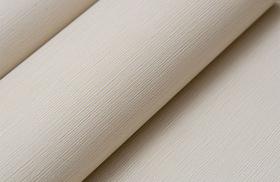 Papel de Parede Alto Relevo Imitação de Palha Texturizada - PP413 Papel de Parede Alto Relevo Imitação de Palha Texturizada - PP413