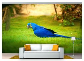 Papel De Parede Animais Arara Azul Paisagem Anm126 Papel De Parede Animais Arara Azul Paisagem Anm126