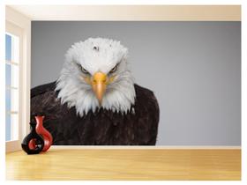 Papel De Parede Animais Ave Aguia Careca Olho 3,5M Anm283 Papel De Parede Animais Ave Aguia Careca Olho 3,5M Anm283