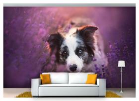 Papel De Parede Animais Border Collie Flores Anm168