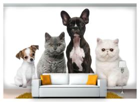 Papel De Parede Animais Cão Gato Pets 3D Anm116