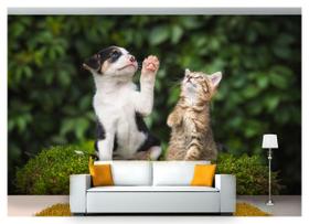 Papel De Parede Animais Cão Gato Sentados 3D Anm235